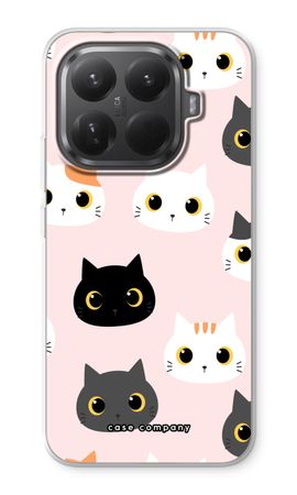 Cats