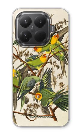 Carolina Parrot