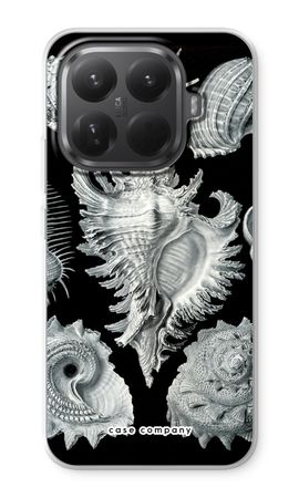 Haeckel Prosobranchia