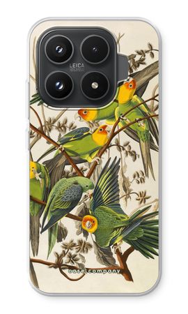 Carolina Parrot