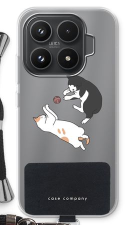 Spelende katten