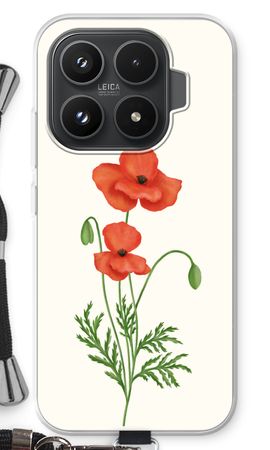 Red poppy