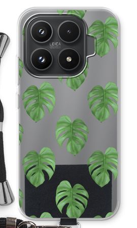 Monstera leaves
