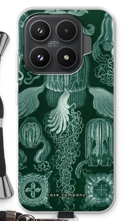 Haeckel Cubomedusae