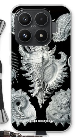 Haeckel Prosobranchia