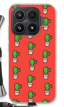 Mini cactus