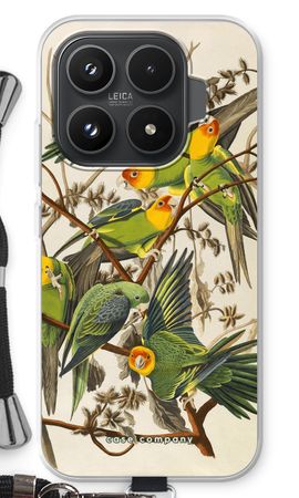 Carolina Parrot