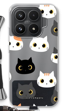 Cats