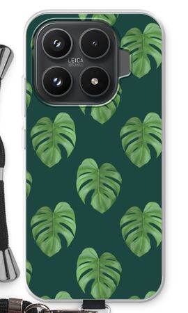 Monstera leaves