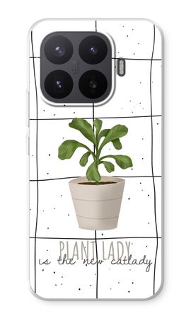 Houseplant on windowpane