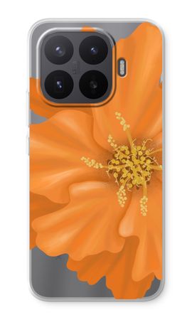 Orange Ellila flower