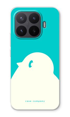 BIG Robin 2