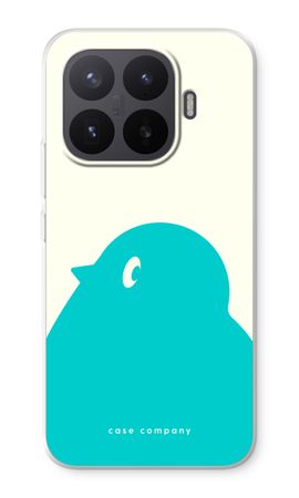 BIG Robin 1