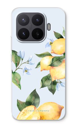 Orchard Sun
