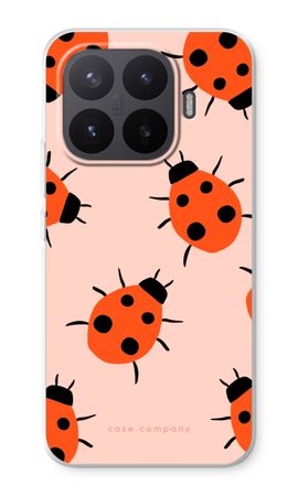 Ladybugs