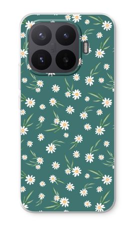 Kleine Gänseblümchen