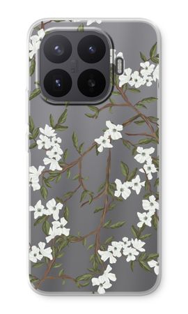 Blossoming spring