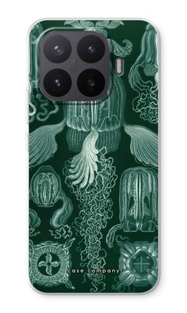 Haeckel Cubomedusae