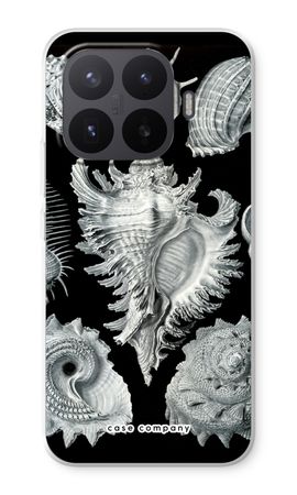 Haeckel Prosobranchia