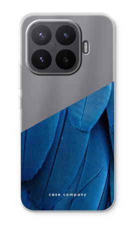 Pfau