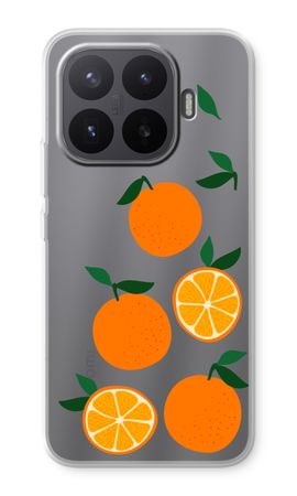 Will you be my clementine