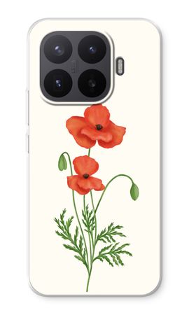 Red poppy
