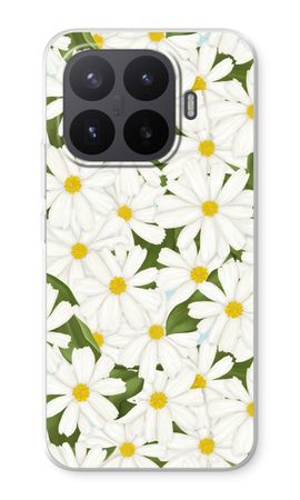 Summer Daisies