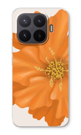 Orange Ellila flower