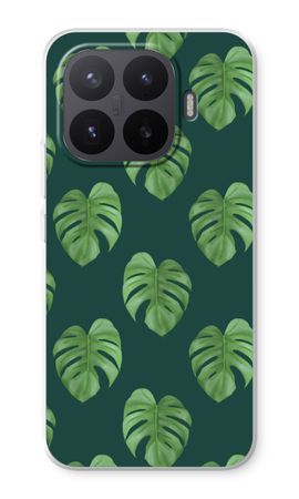 Monstera leaves