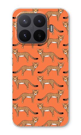 Cheetah