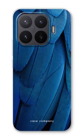 Pfau
