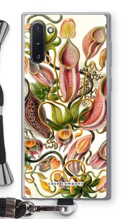 Haeckel Nepenthaceae