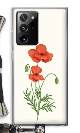 Red poppy