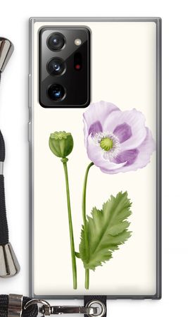 Purple poppy