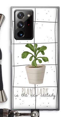 Houseplant on windowpane