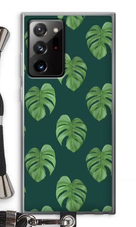 Monstera leaves