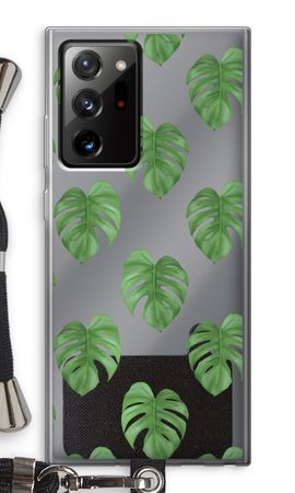 Monstera leaves