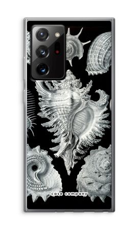 Haeckel Prosobranchia