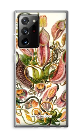 Haeckel Nepenthaceae