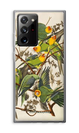 Carolina Parrot