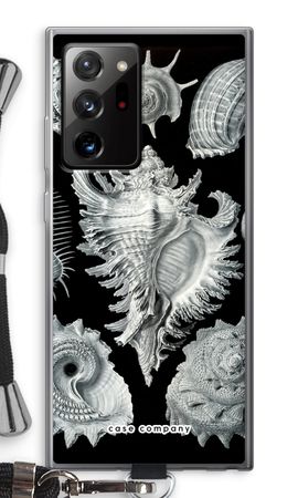 Haeckel Prosobranchia