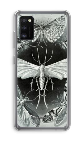 Haeckel Tineida