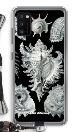 Haeckel Prosobranchia