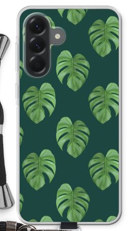 Monstera leaves