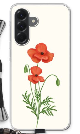 Red poppy