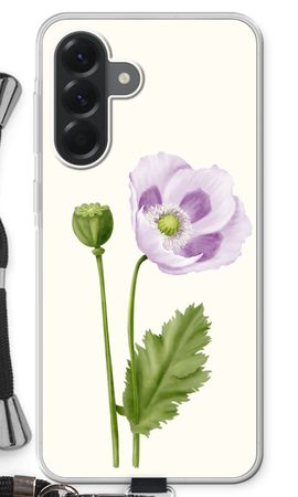 Purple poppy