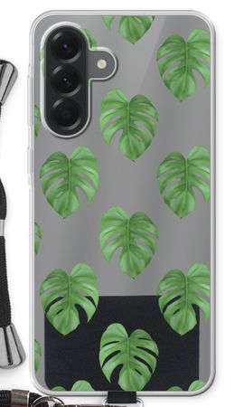 Monstera leaves