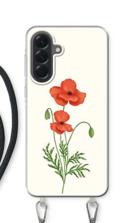 Red poppy