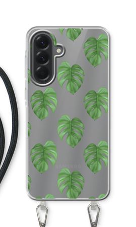 Monstera leaves