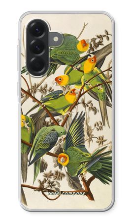 Carolina Parrot